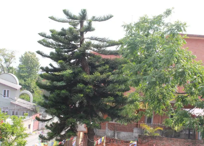 Best Hostel Katmandou
