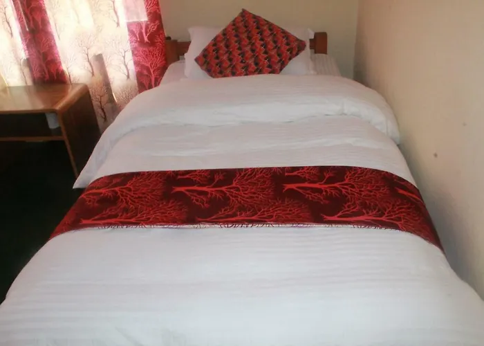 Auberge de jeunesse Best Hostel *