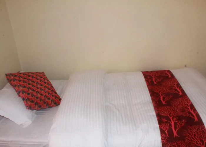 Best Hostel Auberge de jeunesse