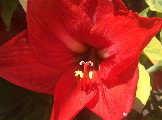 Best Hostel Auberge de jeunesse